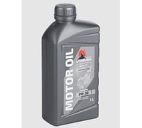 Моторное масло Otomoshi ECO for BMW LL-01 5W-30 1л MF219421