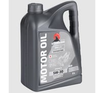 Моторное масло Otomoshi ECO for BMW LL-01 5W-30 5л MF219445