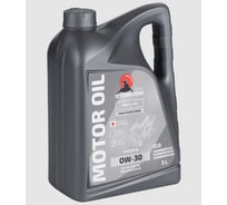 Моторное масло Otomoshi ECO for BMW LL-04 0W-30 D 5л MF219385