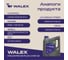 Моторное масло синтетическое Walex Etalon PAO SN PLUS C3 5w30 Synthetic 4 л WET001004 5