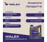 Моторное масло синтетическое Walex Avantgarde SN A3/B4 5w30 Synthetic, 4 л, WAV002004 5