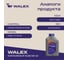 Моторное масло синтетическое Walex Avantgarde SP A5/B5 5w30 Synthetic, 1 л, WAV004001 5