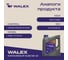 Моторное масло синтетическое Walex Avantgarde SP A5/B5 5w30 Synthetic, 4 л, WAV004004 4