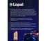 Трансмиссионное масло Lopal E27 Reducer Oil (1л) LPL33669 4