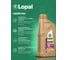 Трансмиссионное масло для вариаторов CVT Lopal CVTF 200 (1л) LPL36349 4