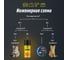 Смазка проникающая LAVR с PTFE, LV-50 Ln2479 13