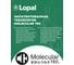 Моторное масло Lopal SONIC 9000 SN 5W-40 (4л) LPL32723 6