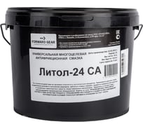 Смазка FORWARD GEAR Литол-24 СА, пластиковое ведро 10 кг 256 23379141