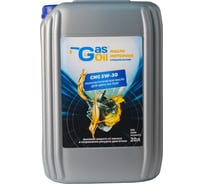 Моторное масло Gas&Oil 5W-30 4603789176063