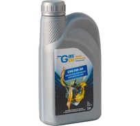Моторное масло Gas&Oil 5W-30 4603789176049