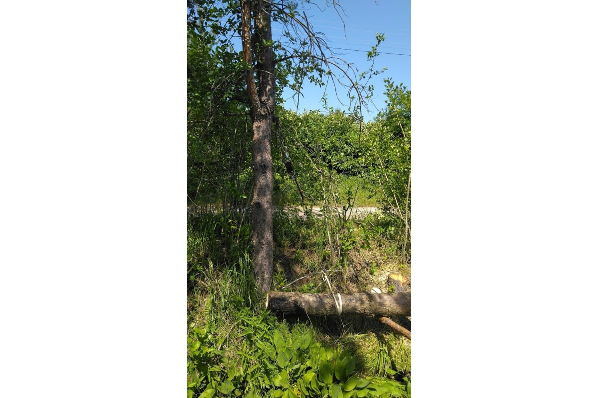 Храповичная лебедка АвтоDело 2.0т 43152 10468 - выгодная цена, отзывы ...