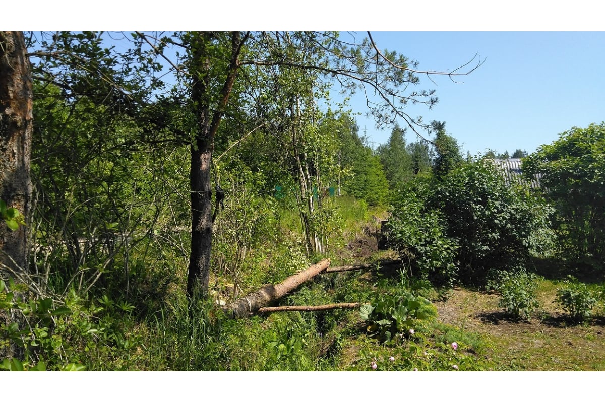 Храповичная лебедка АвтоDело 2.0т 43152 10468 - выгодная цена, отзывы ...