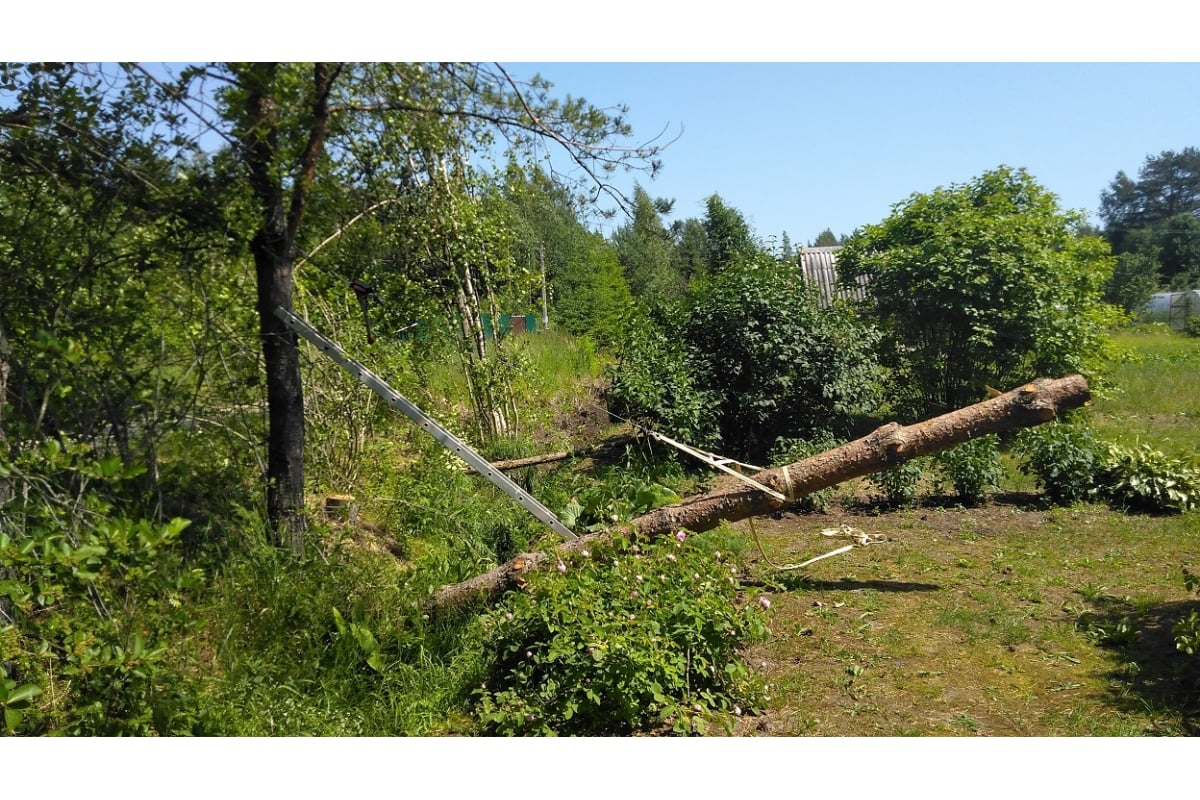 Храповичная лебедка АвтоDело 2.0т 43152 10468 - выгодная цена, отзывы ...