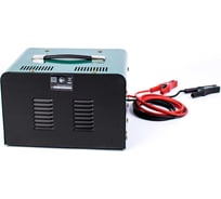 Зарядное устройство FAVOURITE EC 50 700Вт, 30-400А 170000050