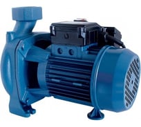 Центробежный насос для ДТ Gespasa CG-150 230V AC 02050