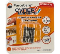 Неодимовый магнит прямоугольник 10х10х4 мм, 6шт Forceberg 9-1272108-006