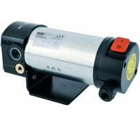 Электрический шиберный насос для масла PIUSI VISCOMAT 120/1 12V PST F00311000