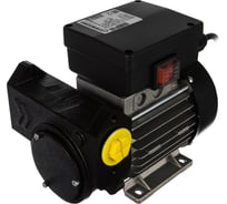 Самовсасывающий роторный лопастной электронасос для ДТ Gespasa IRON-75 230 VAC 00350