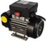 Самовсасывающий роторный лопастной электронасос для ДТ Gespasa IRON-75 230 VAC 00350 2