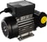 Самовсасывающий роторный лопастной электронасос для ДТ Gespasa IRON-75 230 VAC 00350 3