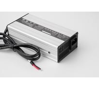 Зарядное устройство STOYSS 24V10A Charger for AGM battery 24Vdc10A