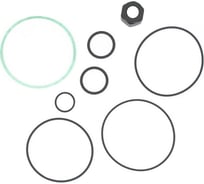 Комплект прокладок для PIUSI BP3000 R16716000