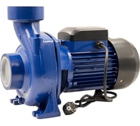 Насос для перекачки дизельного топлива Petroll Jupiter 800 Петролл 3040