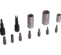 Набор специальных головок Car-Tool CT-E035