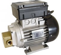 Шестеренчатый насос для смазочных материалов Gespasa EA-88 0.74 kW 230V AC 03070-CF00000