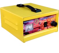 Импульсное автоматическое зарядно-предпусковое устройство Ника Антас Импульс 12/24 4631147010858