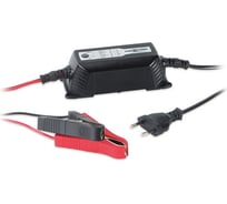 Зарядное устройство ANSMANN 1001-0016 ALCT 6-24/2 13912