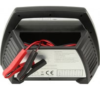 Зарядное устройство ANSMANN 1001-0014 ALCT 6-24/10 11588