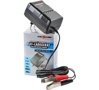 Зарядное устройство ANSMANN 9164016 ALCS 2-24 A BL1 4165