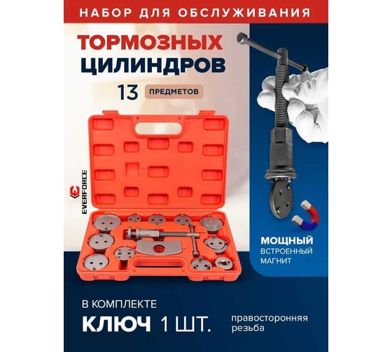 Набор инструментов для обслуживания тормозных цилиндров EVERFORCE 13 предметов, в кейсе EF-65802(59093)