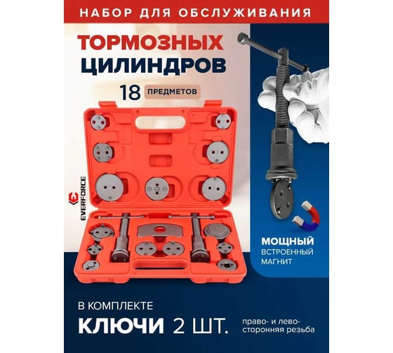 Набор инструментов для обслуживания тормозных цилиндров EVERFORCE 18 предметов, в кейсе EF-65805(59095)