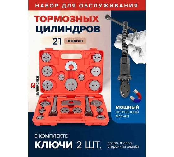 Набор инструментов для обслуживания тормозных цилиндров EVERFORCE 21 предмет, в кейсе EF-65806(59100)