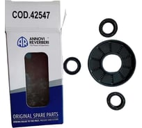 Комплект масляных уплотнителей ACG KIT C /42547/ (к помпе RR 1520) 42547