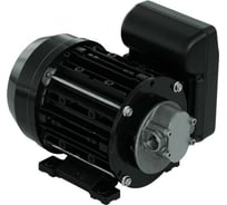 Насос PIUSI Garda 5 220V NMT450006