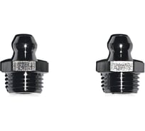 Пресс-масленка MasloSmenka прямая нерж. H1 R1/8'' BSPP, комплект 2 шт., нержавеющая сталь AISI304, Европейский стандарт DIN71412 010704-02