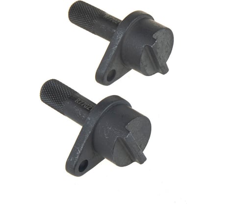 Набор фиксаторов распредвала Arnezi VAG T10123 2 предмета R7702110