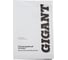 Пескоструйный аппарат Gigant 76л GSM-76 15
