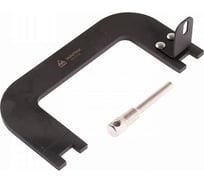 Набор для установки фаз ГРМ МАСТАК для RENAULT, 2 предмета 103-21125