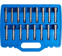 Набор для разбора стоек амортизаторов VERTUL 39 пр. VR50330