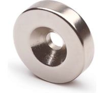 Магниты неодимовые FIT 2 шт., 30х5 мм 67482