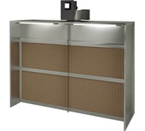 Покрасочная камера сухой фильтрации HARRISON TPS-SBD3000
