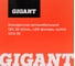 Автомобильный компрессор Gigant 12V, 35л. мин., LED фонарь, сумка GCA-35 16