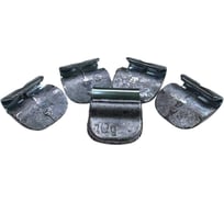 Набор грузов Great Wolf 10гр, для стальных дисков, 100 штук GW-ST010