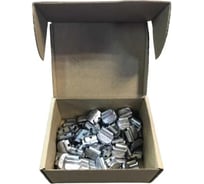 Набор грузов Great Wolf 25гр, для стальных дисков, 100шт GW-ST025