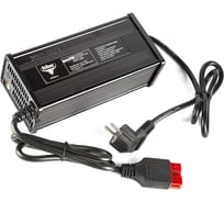 Зарядное устройство для LiFePo4 аккумуляторов, 24В, 60 А/ч (15А), SB50 Rutrike 025183