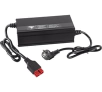 Зарядное устройство для LiFePo4 аккумуляторов, 24В, 80 А/ч (30А), Anderson Rutrike 025224